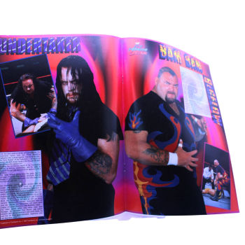 WWF Souvenir Programme In High Gear Tour 1995